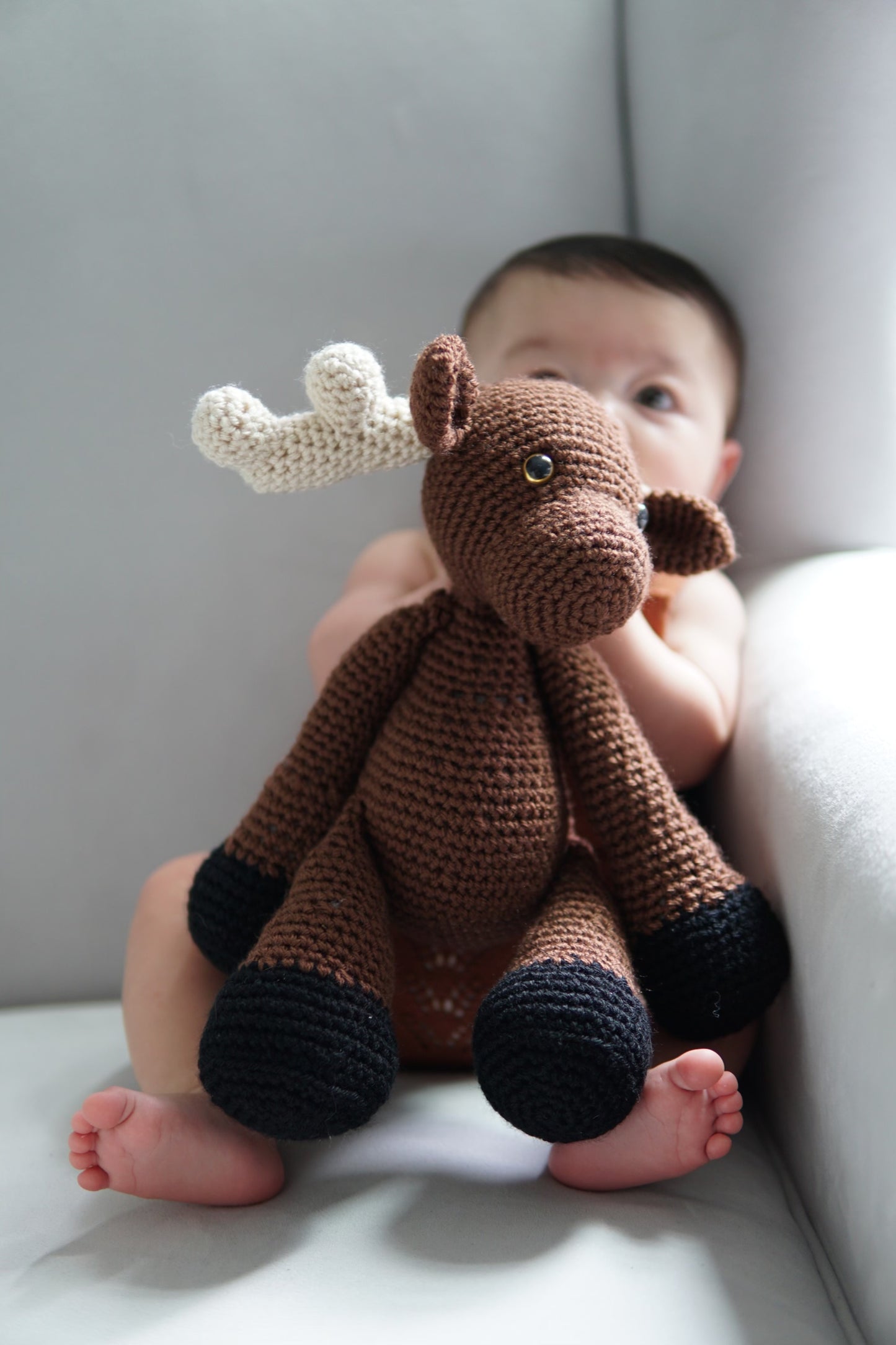 Riley the Moose